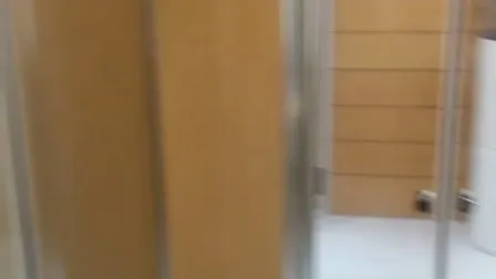 욕실 유리 샤워 스팀 인클로저(TL)의 Lowes Walk